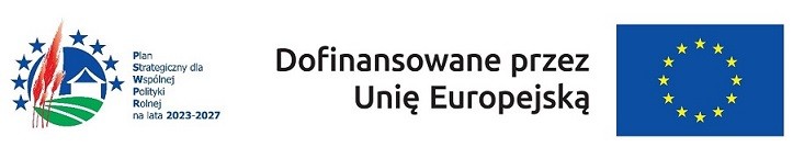 Logotypy informujące o&nbsp;dofinansowaniu przez Unię Europejską. Po lewej logo Planu Strategicznego dla Wsp&oacute;lnej Polityki Rolnej na&nbsp;lata 2023-2027, w&nbsp;środku napis &bdquo;Dofinansowane przez Unię Europejską&rdquo;, po prawej flaga Unii Europejskiej.