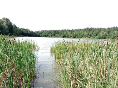 Jezioro Jurkowo