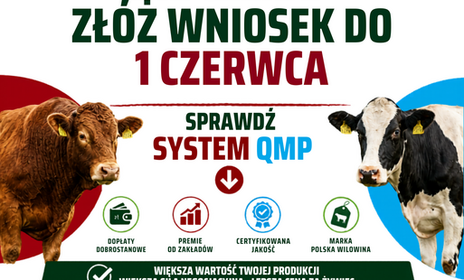 Zdjęcie artykułu z dnia 19-05-2026
